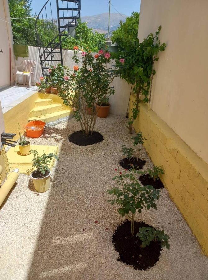 Zoe'S House In Argostoli Argostoli (Kefalonia) Exterior foto